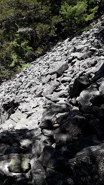 20230505_101854.jpg 20230505_101854.jpg