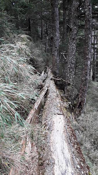 20230505_132404.jpg 20230505_132404.jpg