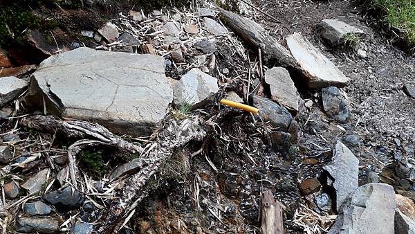 20230505_141717.jpg 20230505_141717.jpg