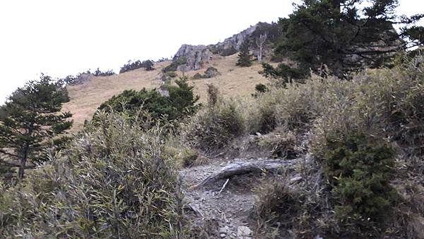 20230506_051715.jpg 20230506_051715.jpg