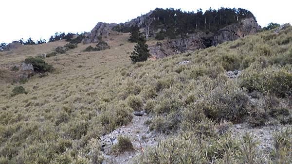 20230506_052031.jpg 20230506_052031.jpg