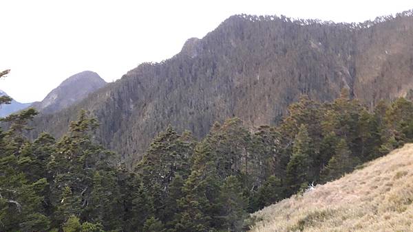 20230506_052124.jpg 20230506_052124.jpg