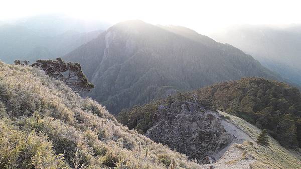 20230506_053435.jpg 20230506_053435.jpg