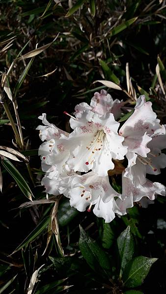 20230506_073418.jpg 20230506_073418.jpg