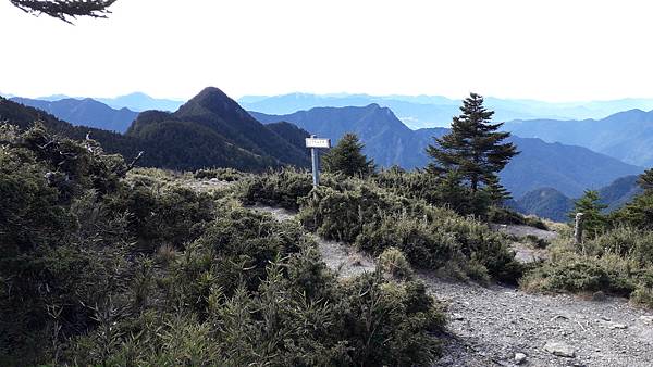 20230506_080814.jpg 20230506_080814.jpg