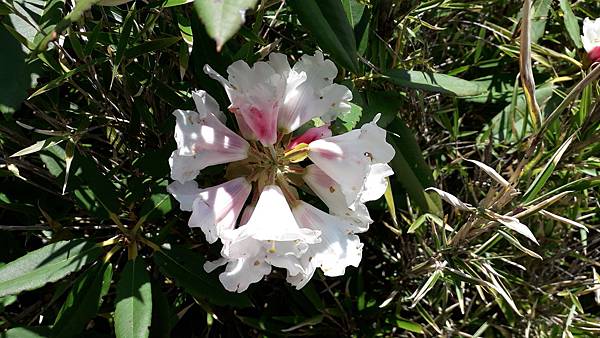 20230506_085034.jpg 20230506_085034.jpg