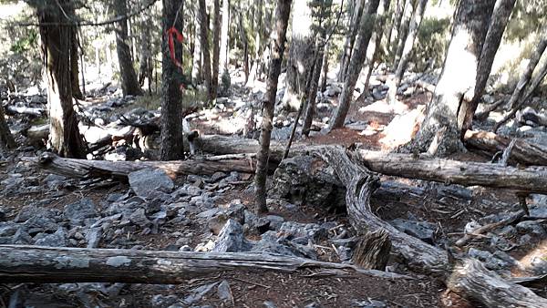 20230506_083319.jpg 20230506_083319.jpg