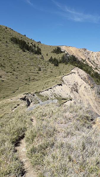 20230506_091300.jpg 20230506_091300.jpg