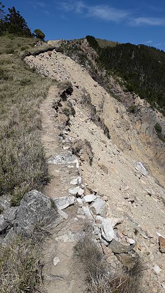 20230506_091620.jpg 20230506_091620.jpg