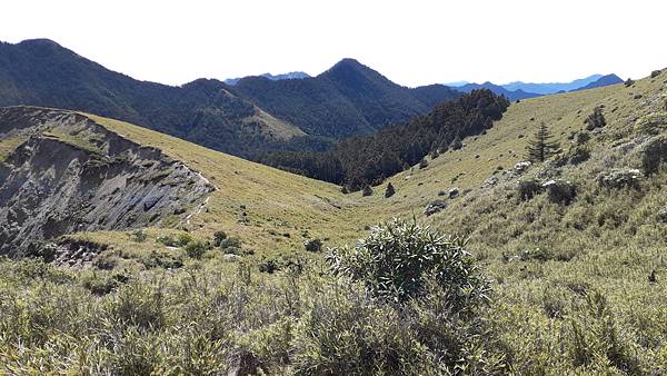 20230506_092226.jpg 20230506_092226.jpg