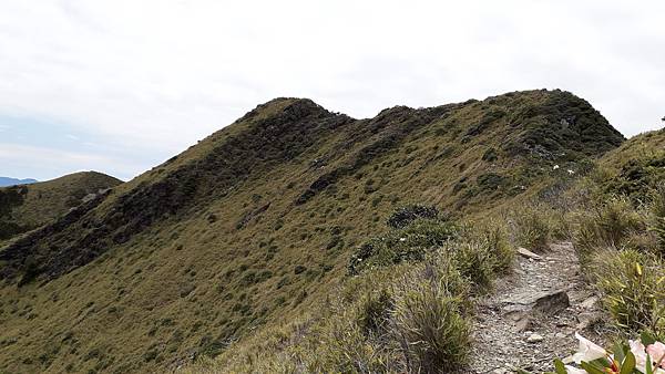 20230506_113115.jpg 20230506_113115.jpg