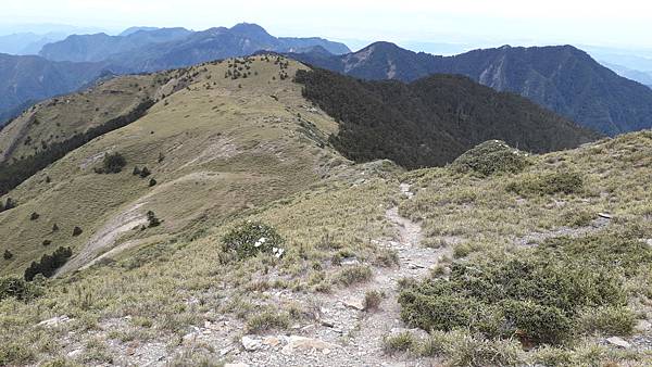 20230506_114504.jpg 20230506_114504.jpg