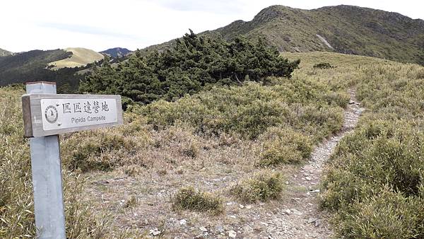 20230506_124514.jpg 20230506_124514.jpg