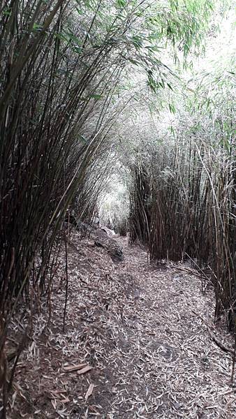 20230506_131920.jpg 20230506_131920.jpg