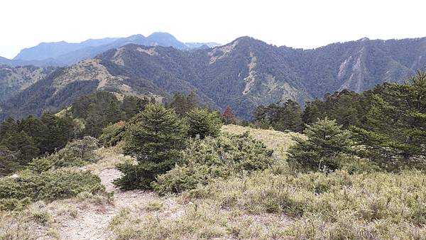 20230506_134230.jpg 20230506_134230.jpg