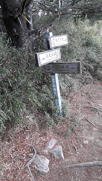 20230506_145026.jpg 20230506_145026.jpg