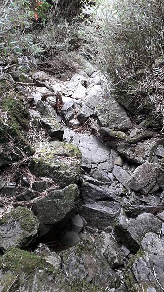 20230506_151730.jpg 20230506_151730.jpg