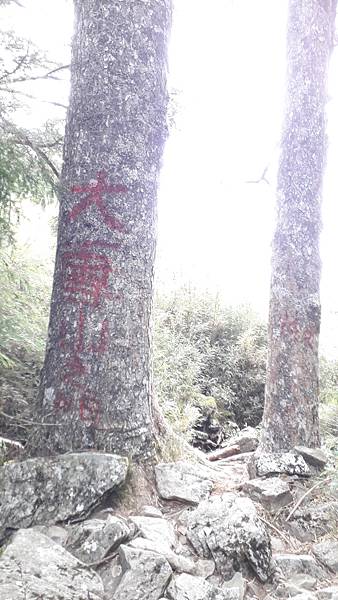 20230506_151204.jpg 20230506_151204.jpg