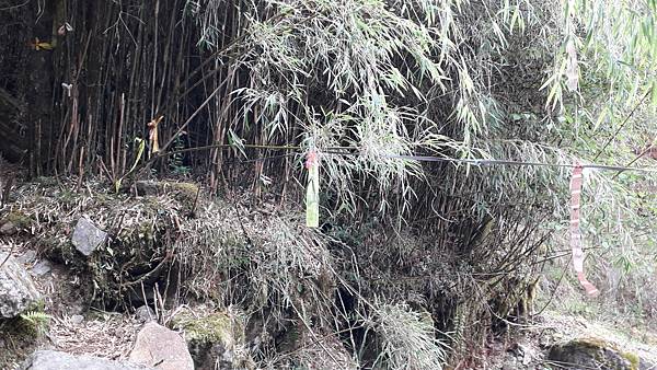 20230506_154546.jpg 20230506_154546.jpg