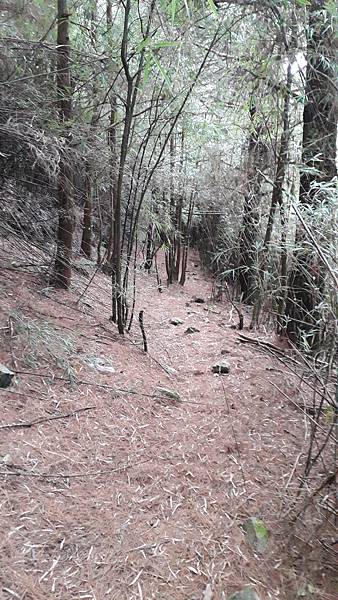 20230506_155749.jpg 20230506_155749.jpg