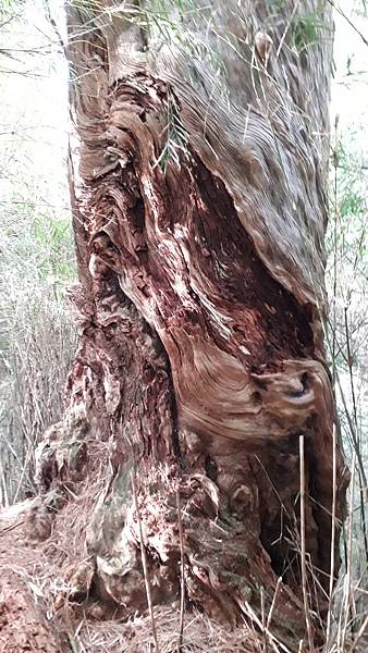 20230506_163522.jpg 20230506_163522.jpg