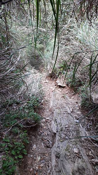 20230506_170033.jpg 20230506_170033.jpg