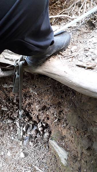 20230506_170212.jpg 20230506_170212.jpg