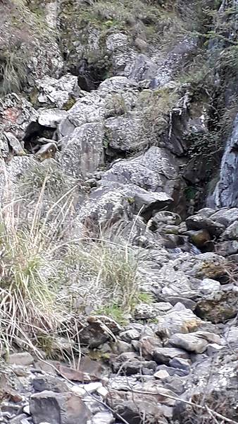 20230506_172328.jpg 20230506_172328.jpg