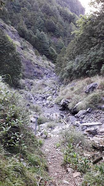 20230506_171215.jpg 20230506_171215.jpg