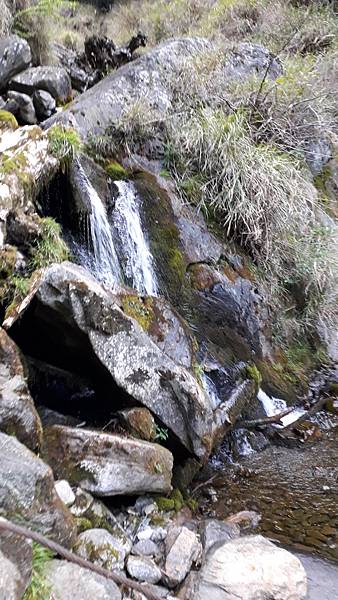 20230506_173150.jpg 20230506_173150.jpg