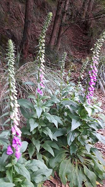 20230506_174055.jpg 20230506_174055.jpg