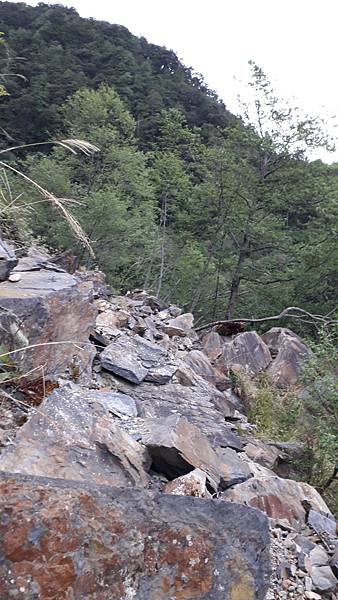 20230506_180145.jpg 20230506_180145.jpg