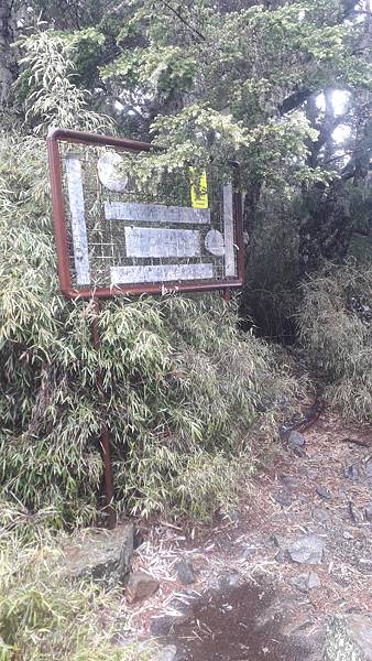 20230507_082248.jpg 20230507_082248.jpg