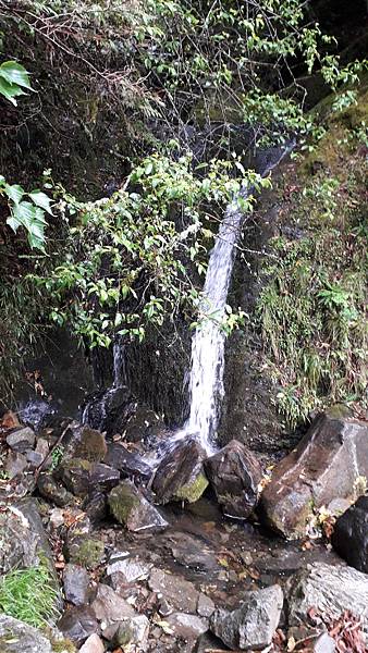 20230507_114359.jpg 20230507_114359.jpg