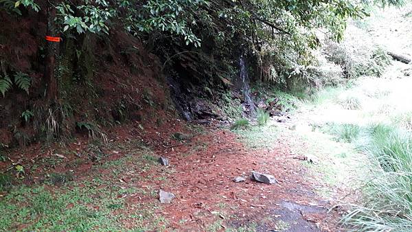 20230507_163509.jpg 20230507_163509.jpg