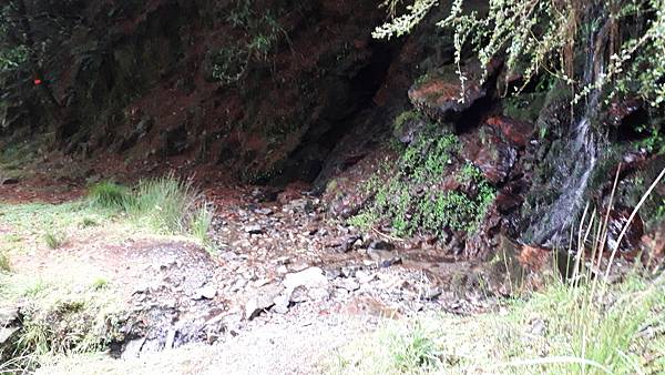 20230507_163547.jpg 20230507_163547.jpg