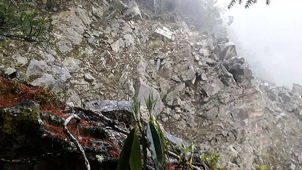 20230507_175431.jpg 20230507_175431.jpg