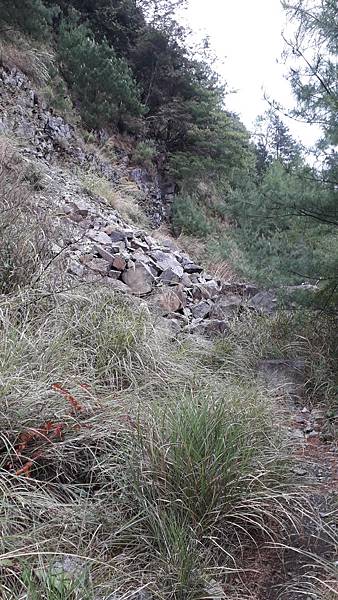 20230507_164539.jpg 20230507_164539.jpg