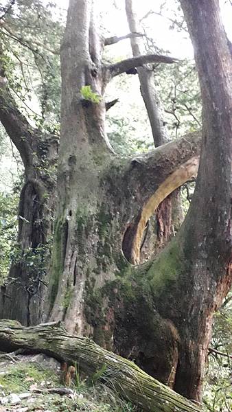 20230627_060518.jpg 20230627_060518.jpg