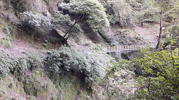 20230627_061014.jpg 20230627_061014.jpg