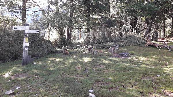 20230627_080330.jpg 20230627_080330.jpg