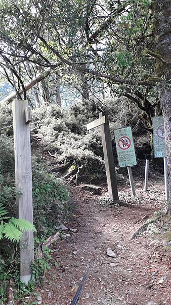 20230627_083617.jpg 20230627_083617.jpg