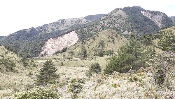 20230627_102239.jpg 20230627_102239.jpg