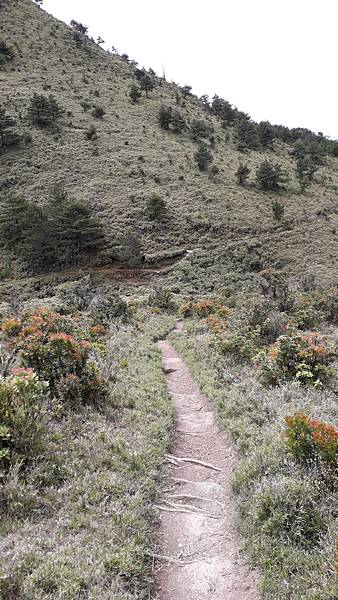 20230627_102116.jpg 20230627_102116.jpg