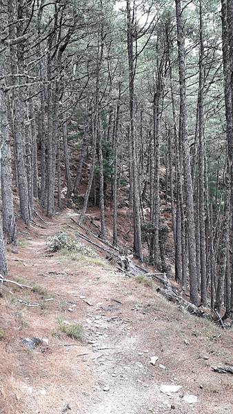 20230627_111724.jpg 20230627_111724.jpg