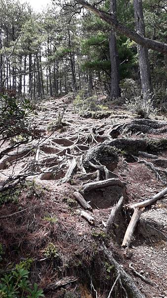 20230627_124612.jpg 20230627_124612.jpg