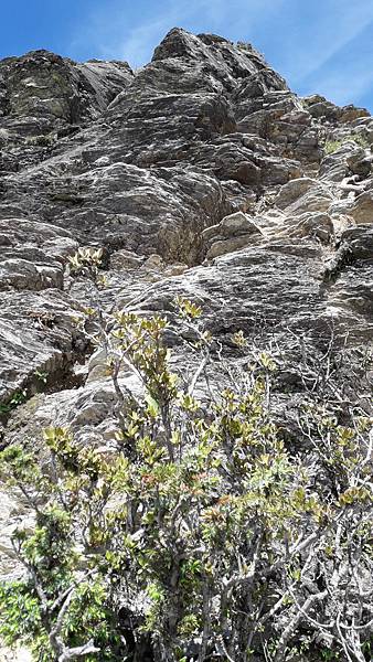 20230627_141439.jpg 20230627_141439.jpg