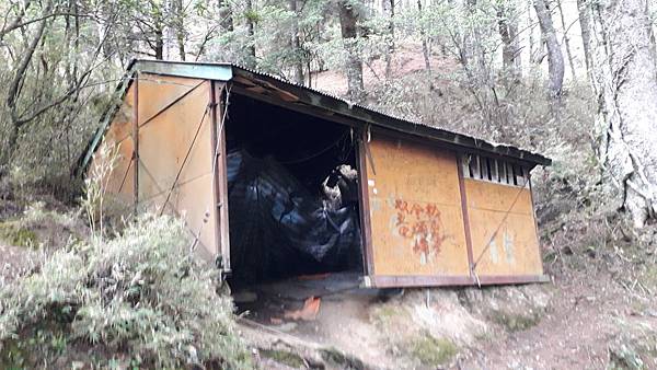 20230627_170512.jpg 20230627_170512.jpg