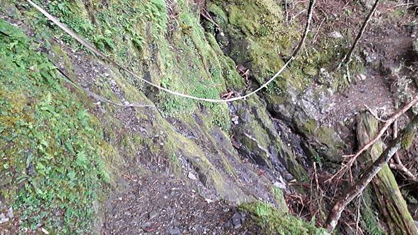 20230628_065008.jpg 20230628_065008.jpg