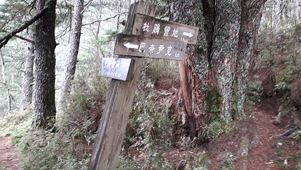 20230628_071420.jpg 20230628_071420.jpg